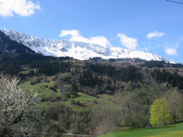 Garvera im Frhjahr (Ende April 2003)