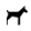 tschaun / Hund / dog